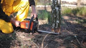 Best Soil Testing and Treatment  in Kingston, WA