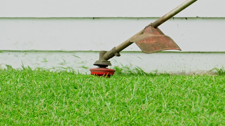 Best Pest Control for Lawns  in Kingston, WA