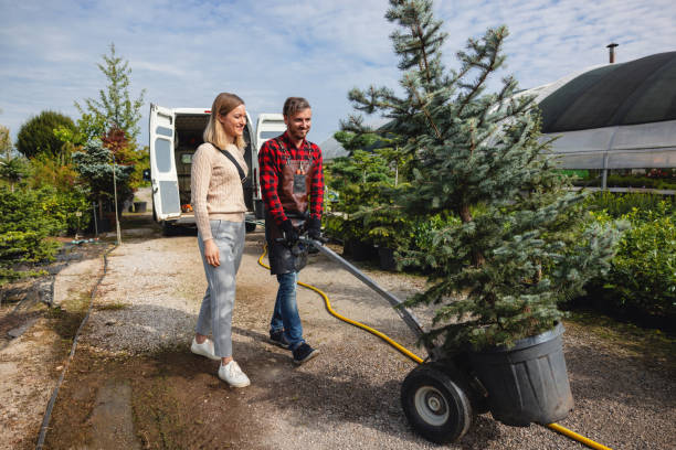 Best Sod Installation  in Kingston, WA